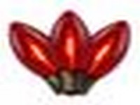 Holiday Bright Lights LED C9 Red 25 ct Replacement Christmas Light Bulbs 2.5 ft.