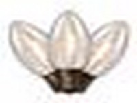 Holiday Bright Lights LED C9 Clear/Warm White 25 ct Replacement Christmas Light Bulbs