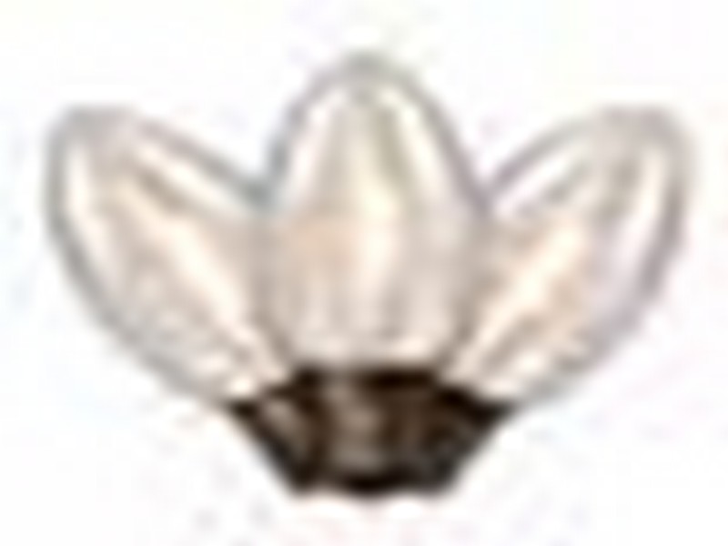 Holiday Bright Lights LED C9 Clear/Warm White 25 ct Replacement Christmas Light Bulbs