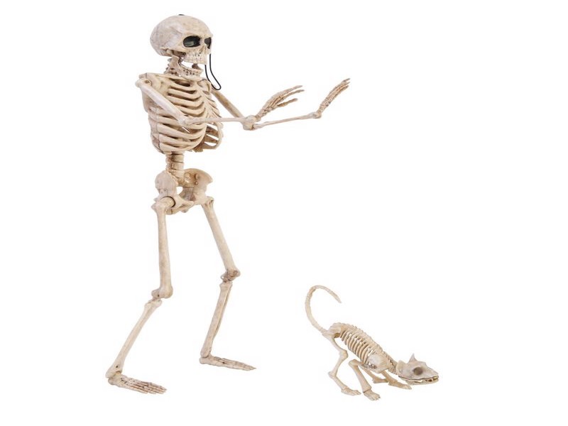 Hween Decor Skltn Wlkr