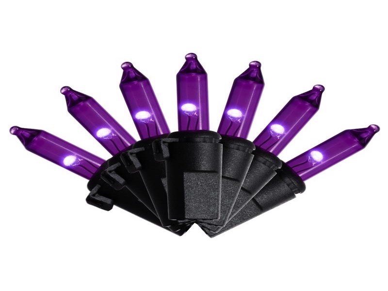 Lights T5 Clsc Pur 300ct