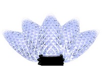 Lght Blbs C9 Cl Wht 25ct