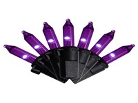 Lights T5 Clsc Pur 300ct