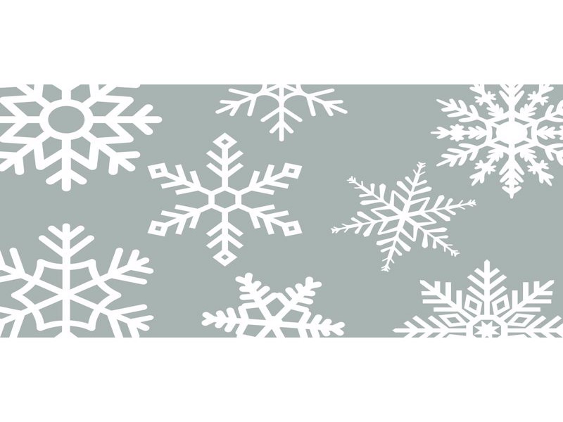 18 in. W X 30 in. L Gray/White Snowflakes  Accent Rug