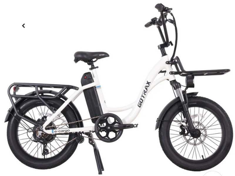 Bike Electric E-cargo