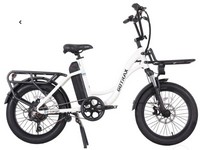 Bike Electric E-cargo