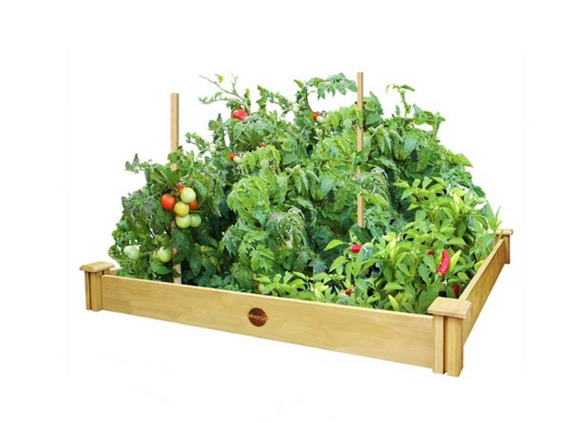 Miracle-Gro 5.5 in. H X 48 in. W Cedar Elevated Garden Bed Kit Brown