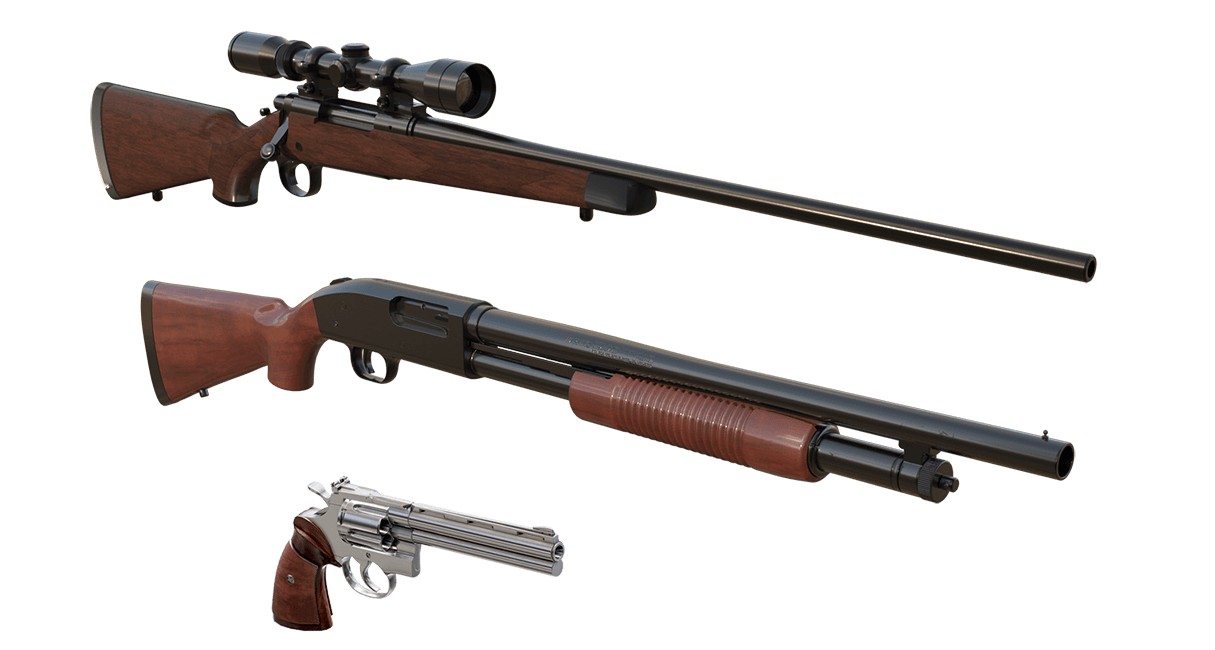 Firearms Rifles Shotguns Handgun