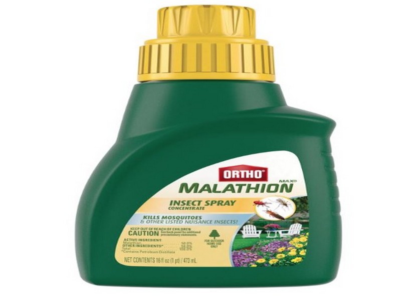 Ortho MAX Malathion Liquid Concentrate Insect Killer 16 oz