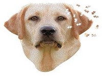 PUZZLE 550pc I AM LAB