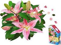PUZZLE 350pc I AM LILY