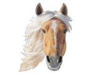 PUZZLE 300pc I AM HORSE