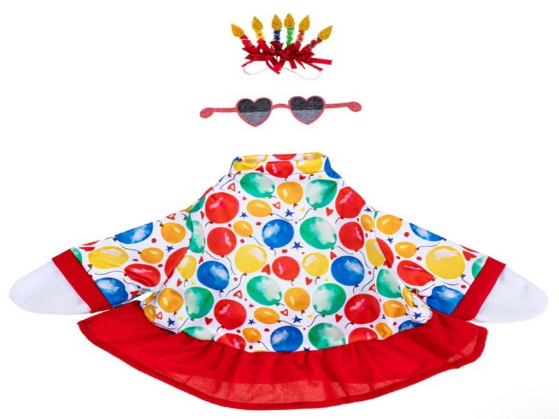 Giddy the Goose Birthday Outfit