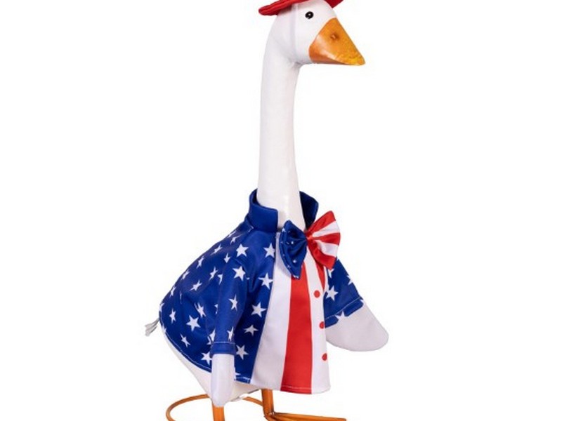 Goose Outfit Patriotic Suit