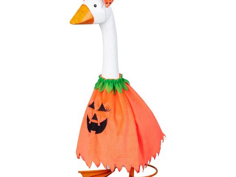 Goose Outfit Pumpkin Poncho
