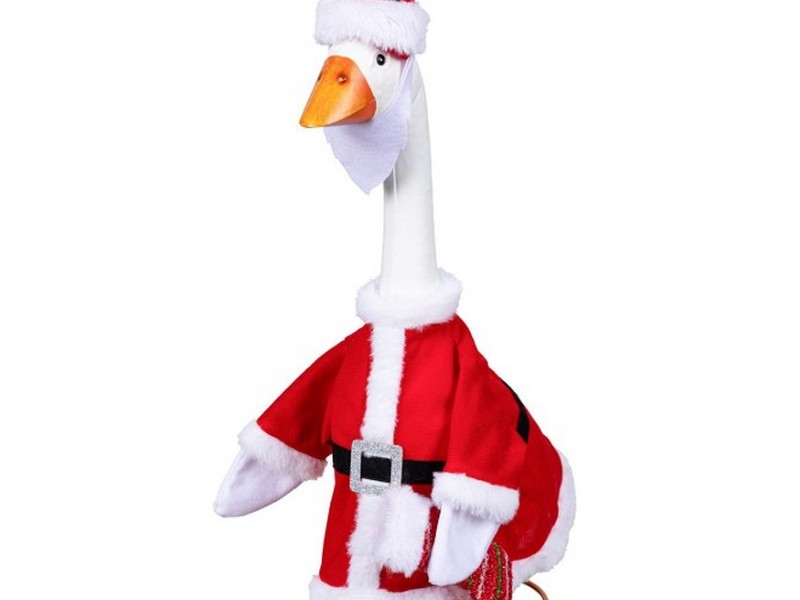 Goose Outfit Mr Claus
