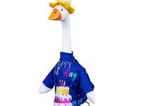 Goose Outfit Birthday Celebratio