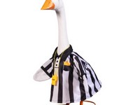 Goose Outfit Refferee