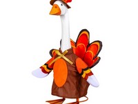Goose Outfit Turkey Trot