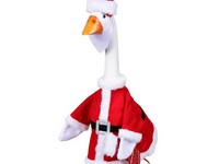 Goose Outfit Mr Claus