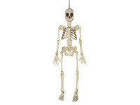 Seasons Funny Bones Skeleton Halloween Decor