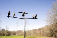 Decoy Tree Dove Mojo Outdoors