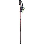 Hiking Pole Expedition  Grn/gry
