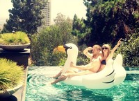 Swimline White PVC/Vinyl Inflatable Swan Pool Float