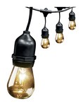 Feit Electric Incandescent String Light Set Clear 20 ft. 10 lights