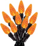 Celebrations LED String Lights