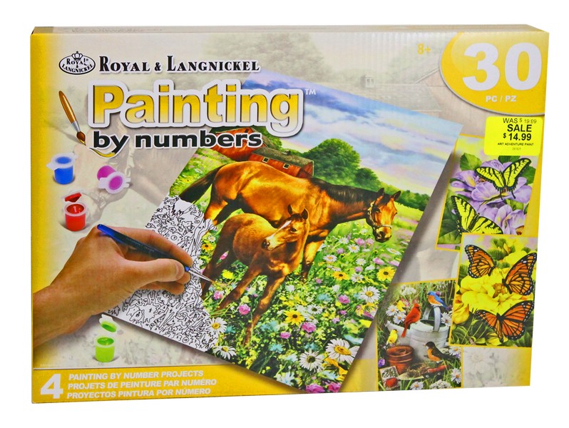 Art Adventure Paint By Number