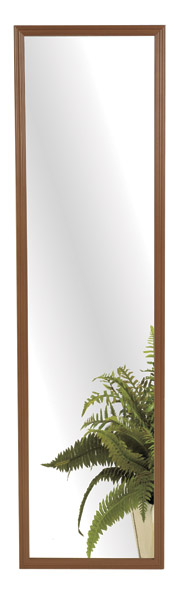 Erias 49 in. H X 13 in. W Natural Brown Plastic Mirror