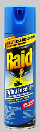 Raid Aerosol Insect Killer 18 oz
