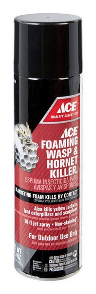 Ace Aerosol Wasp and Hornet Killer 17.5 oz