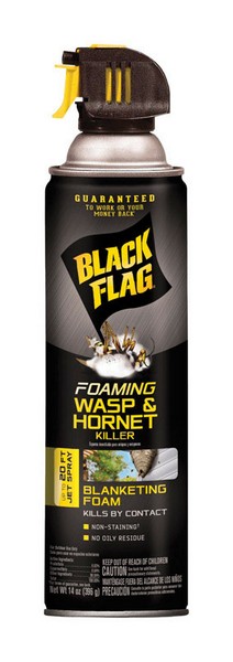 Black Flag Foam Wasp and Hornet Killer 14 oz