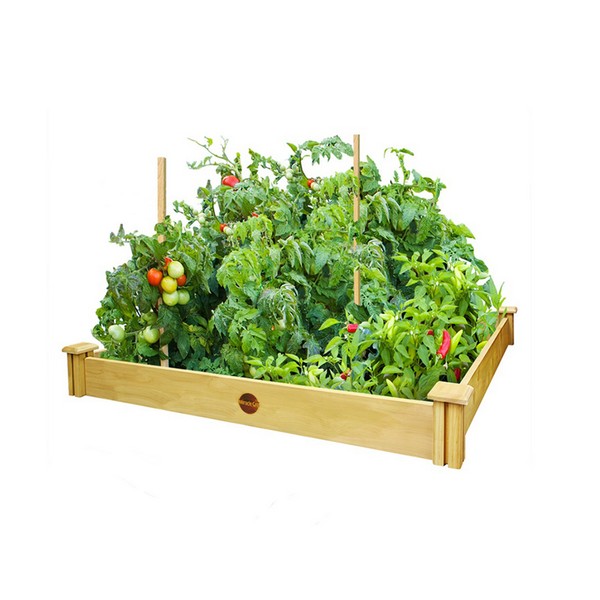 Miracle-Gro 5.5 in. H X 48 in. W Cedar Elevated Garden Bed Kit Brown