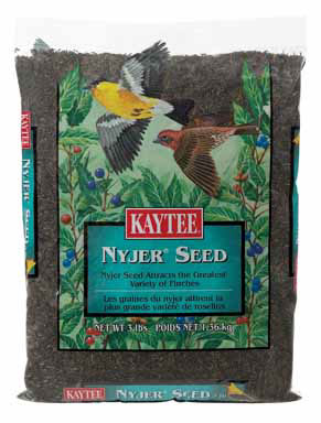 Kaytee Nyjer Songbird Nyger Thistle Seed Wild Bird Food 3 lb