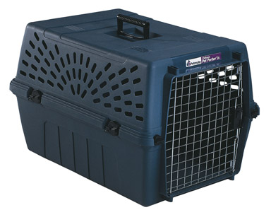 Aspen Pet Pet Porter Plastic Pet Carrier Black/Gray 14.5 in. H X 16.7 in. W X 24 in. D