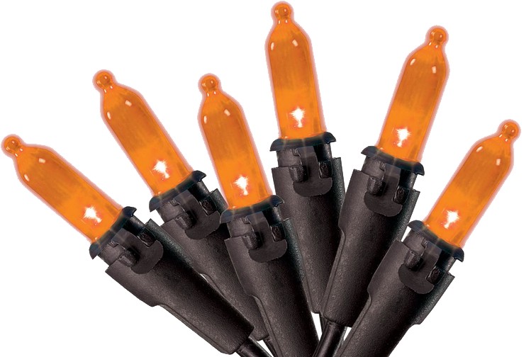 Celebrations LED String Lights