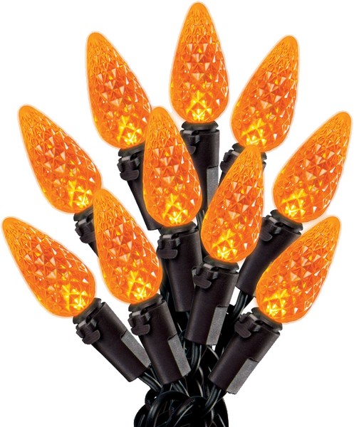 Celebrations LED String Lights