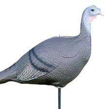 Decoy Turk Hen 3pos Colaps