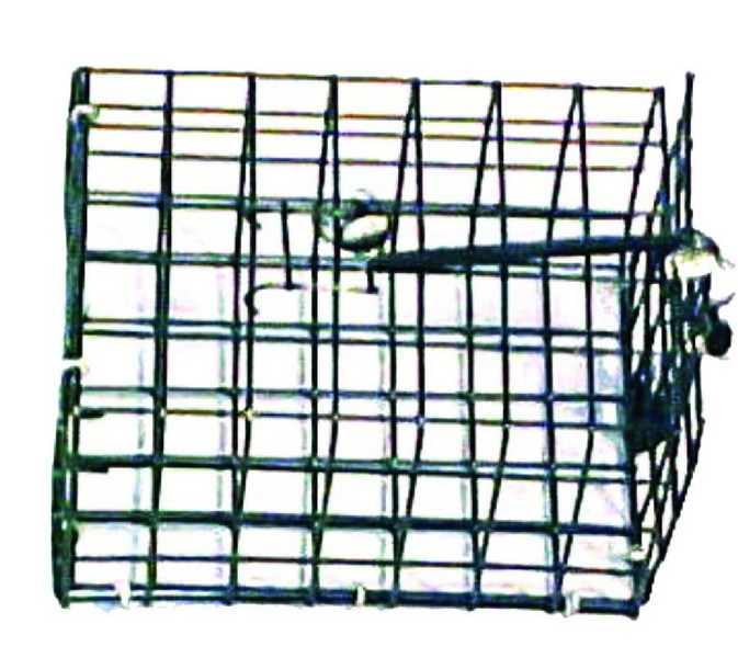 Crab Bait Cage Ring