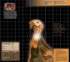 Target Turkey 6pk X-ray