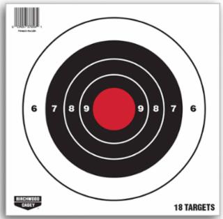 Target Pistol 8" 18pk