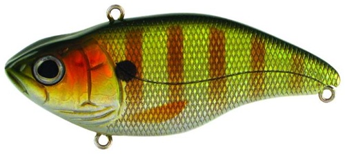  Aruku Shad 75 Lipless Rattle Crankbait, 3", 5/8oz, Perch